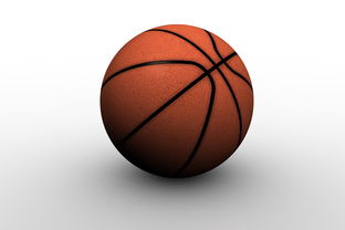 [NBA]备战夏季联赛 杨瀚森想先做好“蓝领”工作